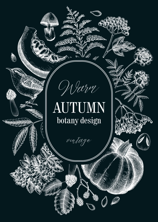 Vintage autumn card design. Thanksgiving background. Fall leaves, pumpkins, berries, mushrooms sketches on chalkboard. Hand-drawn vector illustration. NOT AI generated